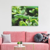 Oostelijke groene mamba (Dendroaspis angusticeps) Canvas Afdruk (Insitu (Woonkamer))