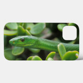 Oostelijke groene mamba (Dendroaspis angusticeps) Case-Mate iPhone Case (Achterkant (horizontaal))