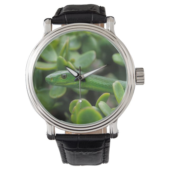 Oostelijke Groene Mamba (Dendroaspis Angusticeps) Horloge (Voorkant)