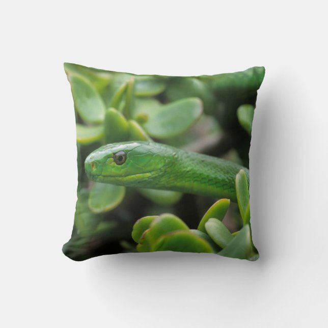 Oostelijke groene mamba (Dendroaspis angusticeps) Kussen (Voorkant)