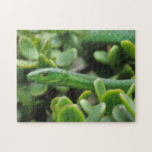 Oostelijke groene mamba (Dendroaspis angusticeps) Legpuzzel