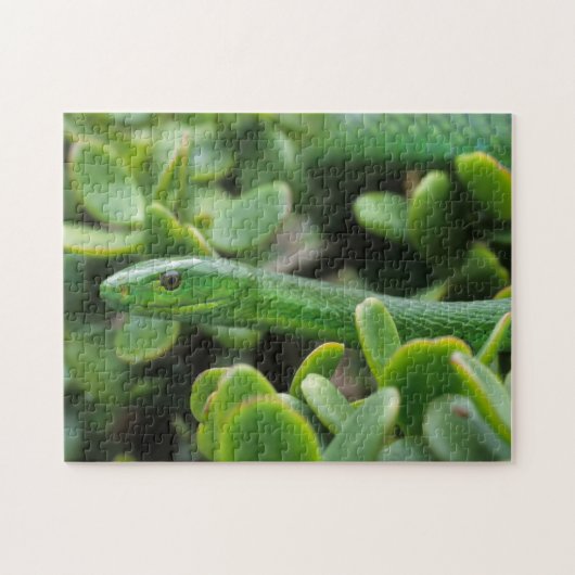 Oostelijke groene mamba (Dendroaspis angusticeps) Legpuzzel (Horizontaal)