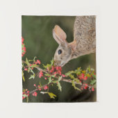 Oostelijke katoenstaart | South Texas Wandkleed (Voorkant)