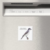 Oostelijke Kingbird Magneet (Insitu (Vaatwasser))