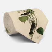 Oostelijke Kingbird van de Amerikaanse vogels van  Stropdas (Opgerold)