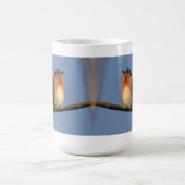 Oostelijke Mok van Blauwvogels (Center)