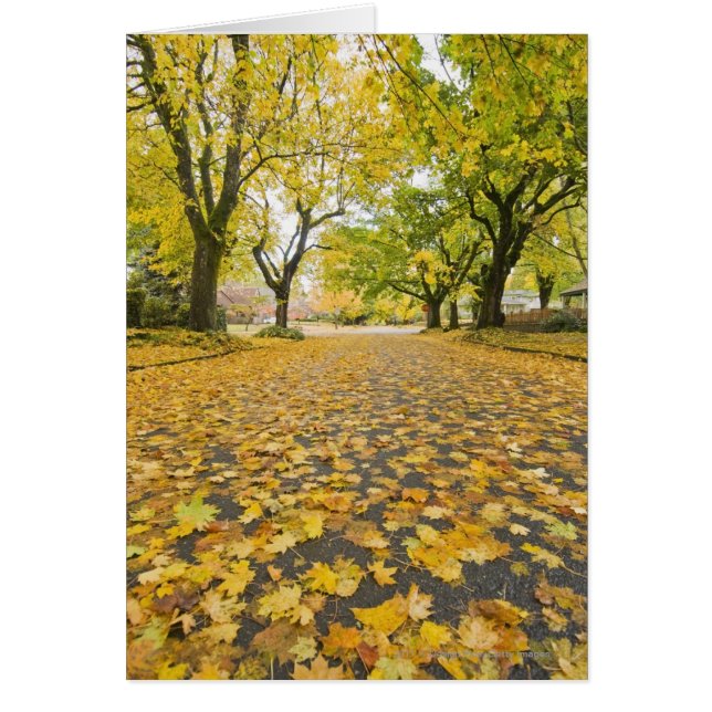 oostelijke nabuurschap in het najaar (Voorkant)