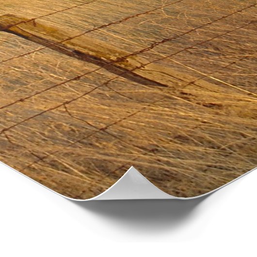 Oostelijke Oregon in Dusk Poster (Hoek)