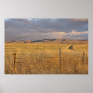 Oostelijke Oregon in Dusk Poster