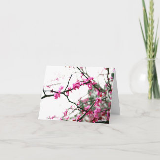 Oostelijke Redbud Kaart