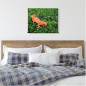 Oostelijke rode gevlekte salamander canvas afdruk (Insitu (Slaapkamer))