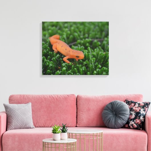 Oostelijke rode gevlekte salamander canvas afdruk (Insitu (Woonkamer))