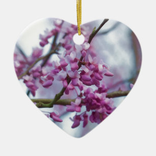 Oostelijke roodbloem - Cercis canadensis Keramisch Ornament