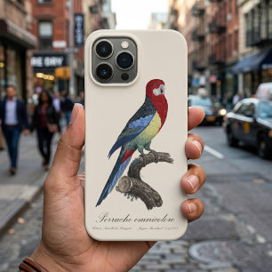 Oostelijke rosella of Platycercus eximius parkiet Case-Mate iPhone Case