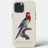 Oostelijke rosella of Platycercus eximius parkiet Case-Mate iPhone Case (Achterkant)