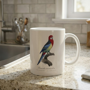 Oostelijke rosella of Platycercus eximius parkiet Koffiemok