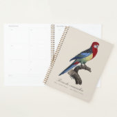 Oostelijke rosella of Platycercus eximius parkiet Planner (Display)