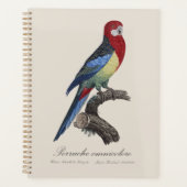 Oostelijke rosella of Platycercus eximius parkiet Planner (Voorkant)