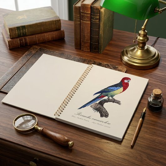 Oostelijke rosella of Platycercus eximius parkiet Planner