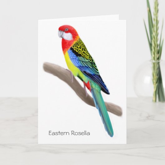 Oostelijke Rosella Parrot Kaart (Voorkant)