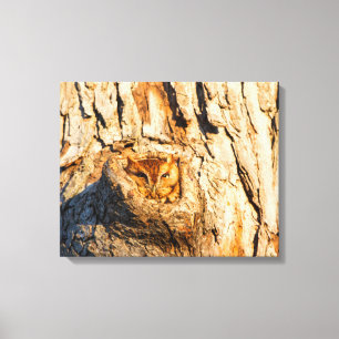 Oostelijke schreeuwuil canvas afdruk