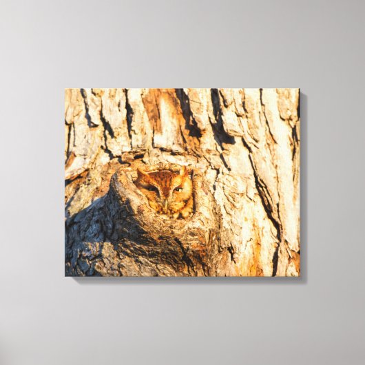 Oostelijke schreeuwuil canvas afdruk (Voorkant)