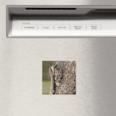 Oostelijke schreeuwuil magneet (Insitu (Vaatwasser))