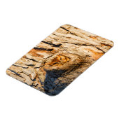 Oostelijke schreeuwuil magneet (Linkerzijde)