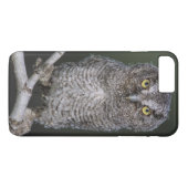 Oostelijke schreeuwuil, Megascops asio, Otus 2 Case-Mate iPhone Case (Achterkant (Horizontaal))