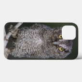 Oostelijke schreeuwuil, Megascops asio, Otus 2 Case-Mate iPhone Case (Achterkant (horizontaal))