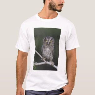 Oostelijke schreeuwuil, Megascops asio, Otus 2 T-shirt