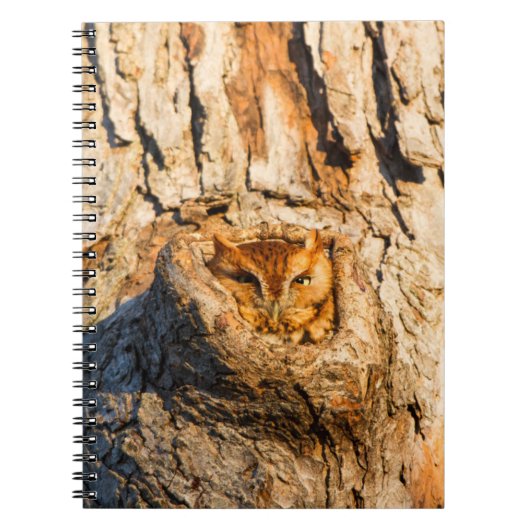 Oostelijke schreeuwuil notitieboek (Voorkant)