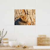 Oostelijke schreeuwuil poster (Keuken)