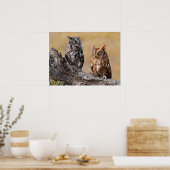 Oostelijke schreeuwuil slaapt in boom poster (Keuken)