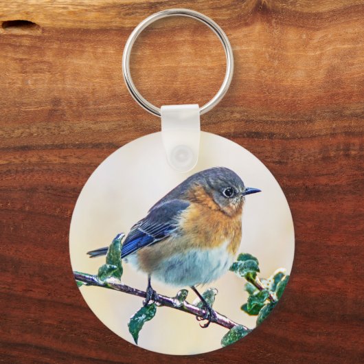 Oostelijke Sleutelhanger van Bluebird (Voorkant)