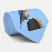 Oostelijke Stropdas van Blauwvogel (Opgerold)