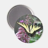 OOSTELIJKE TIJGER SLIKKAART MAGNEET (Voorkant / Achterkant)