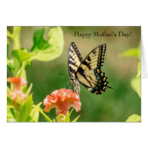 Oostelijke tijger Swallowtail Butterfly