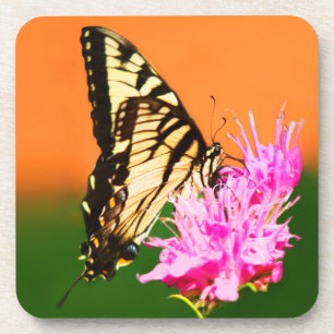 Oostelijke tijger Swallowtail Butterfly Bier Onderzetter