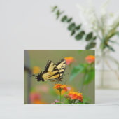 Oostelijke tijger Swallowtail Butterfly Briefkaart (Staand voorkant)
