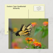 Oostelijke tijger Swallowtail Butterfly Briefkaart (Voorkant / Achterkant)