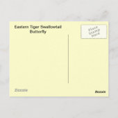 Oostelijke tijger Swallowtail Butterfly Briefkaart (Achterkant)