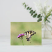 Oostelijke tijger Swallowtail Butterfly Briefkaart (Staand voorkant)