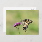 Oostelijke tijger Swallowtail Butterfly Briefkaart (Voorkant / Achterkant)