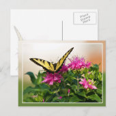 Oostelijke tijger Swallowtail Butterfly Briefkaart (Voorkant / Achterkant)