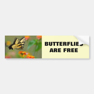 Oostelijke tijger Swallowtail Butterfly Bumpersticker