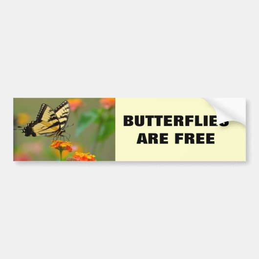 Oostelijke tijger Swallowtail Butterfly Bumpersticker (Voorkant)