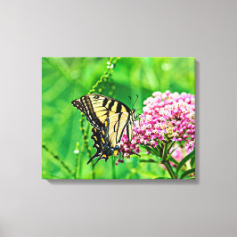 Oostelijke tijger Swallowtail Butterfly Canvas Afdruk