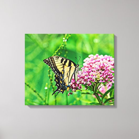 Oostelijke tijger Swallowtail Butterfly Canvas Afdruk (Voorkant)