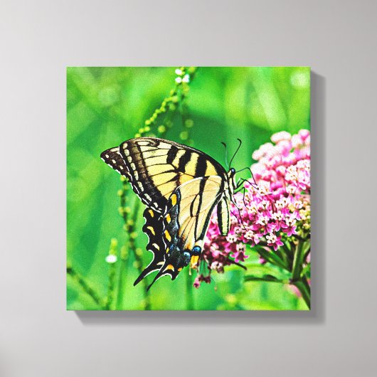 Oostelijke tijger Swallowtail Butterfly Canvas Afdruk (Voorkant)